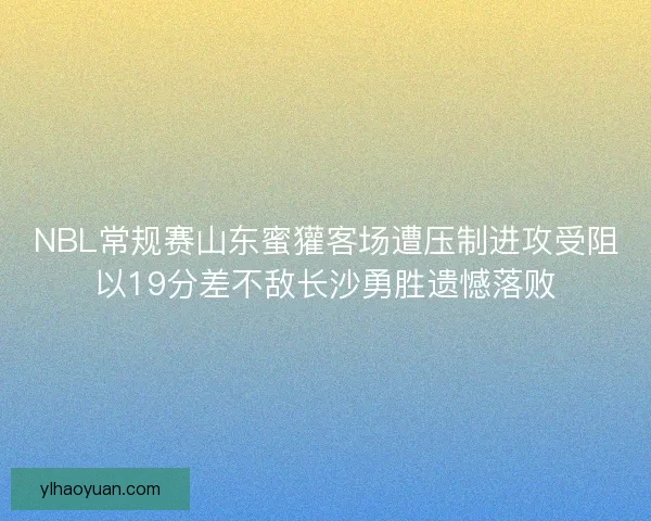NBL常规赛山东蜜獾客场遭压制进攻受阻以19分差不敌长沙勇胜遗憾落败