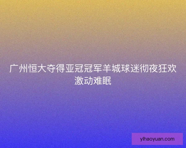 广州恒大夺得亚冠冠军羊城球迷彻夜狂欢激动难眠