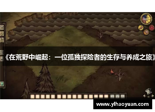 《在荒野中崛起：一位孤独探险者的生存与养成之旅》