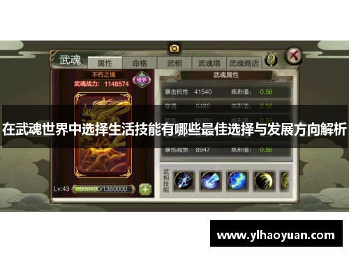 在武魂世界中选择生活技能有哪些最佳选择与发展方向解析