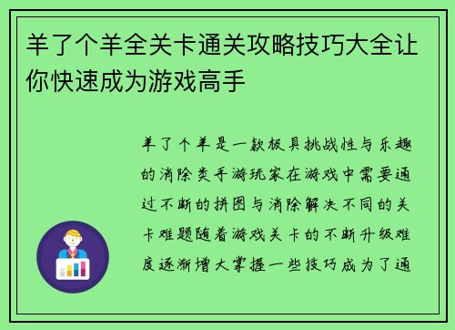 羊了个羊全关卡通关攻略技巧大全让你快速成为游戏高手